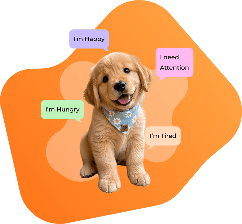 Dog Translator app on a mobile phone